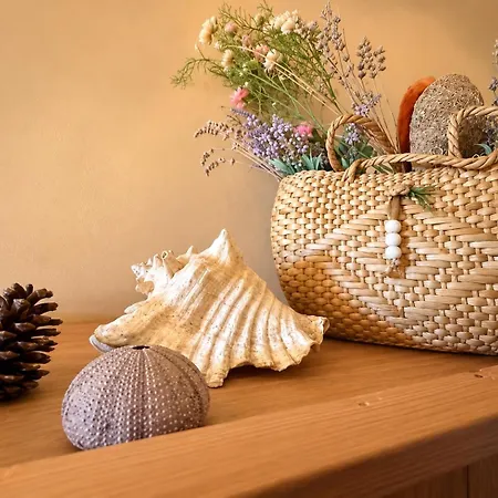 Apartmán Spacious Retro 3-bedroom 130m2 In Zadar, Puntamika Borik Area Zadar